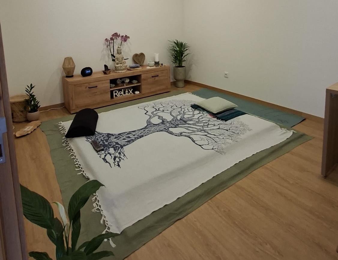 Sala de Shiatsu — Essência da Terra CP